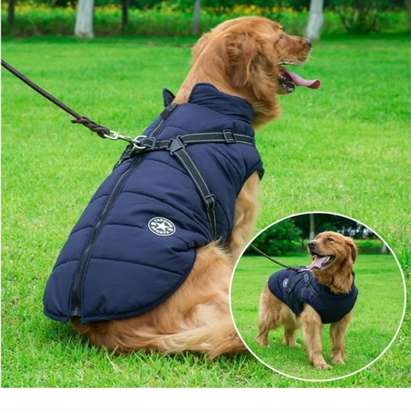 Blue Dog Jacket with Harness Waterproof And Warm - Picture 6 of 16
